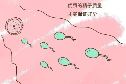 深圳有名的不孕不育医院有什么