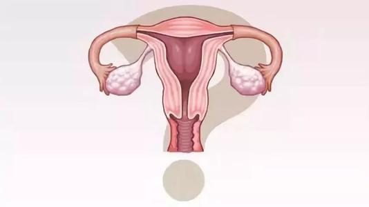 排卵障碍的特征有什么